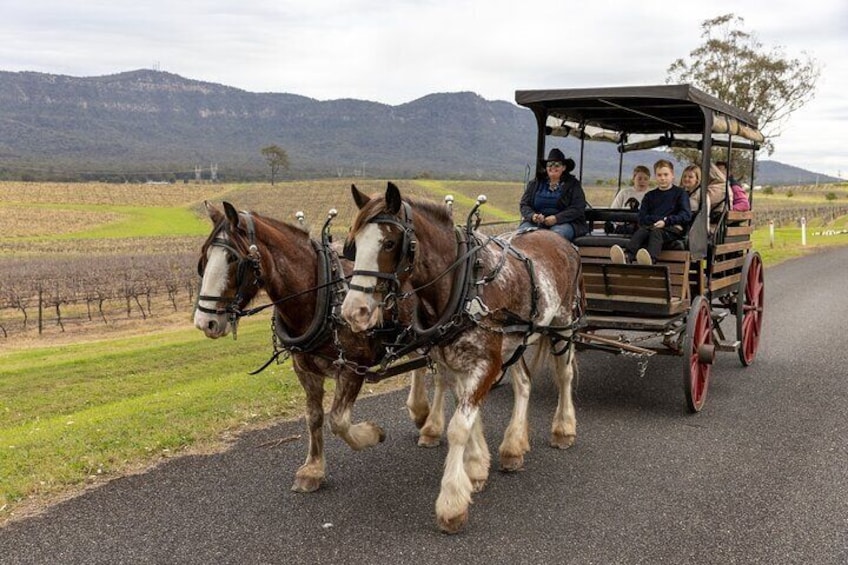  3- Hour Wine and Harvest the Hunter Horse Tour in Pokolbin