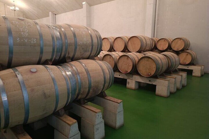 Full Day Private Tour to Rioja Wine Tour with Lunch from Bilbao