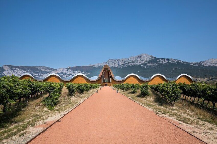 Full Day Private Tour to Rioja Wine Tour with Lunch from Bilbao