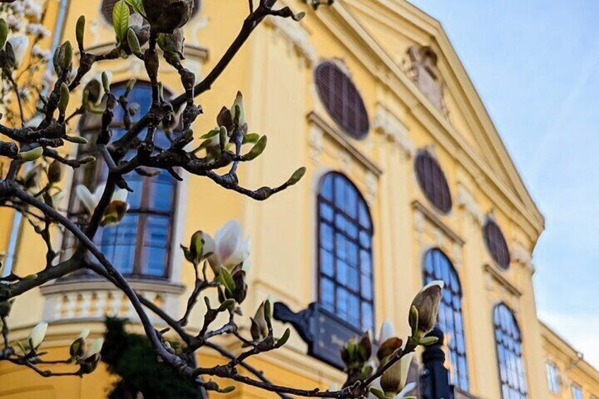 Artnouveau is everywhere in Oradea Romania