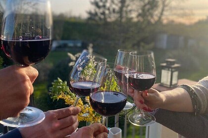 Private Wine Tasting in France's Oldest Wine Region