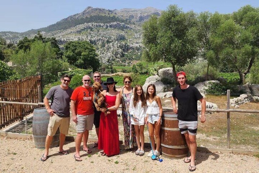 Full-Day Private Wine Tour to 3 Wineries in Mallorca