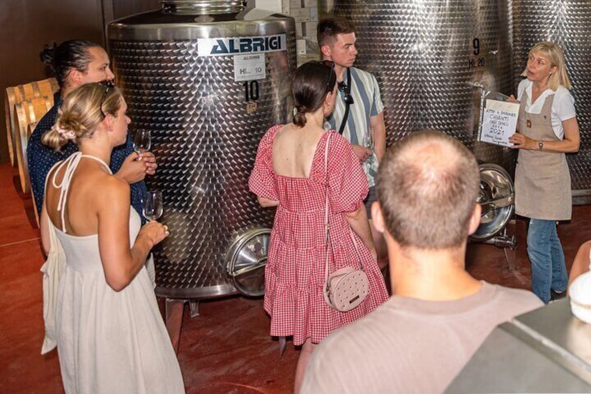 Wine Tour with Lunch and Wine Tasting