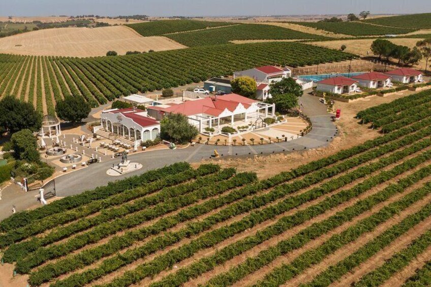 5-Hour Wine Tasting and Helicopter Ride Experience in Barossa