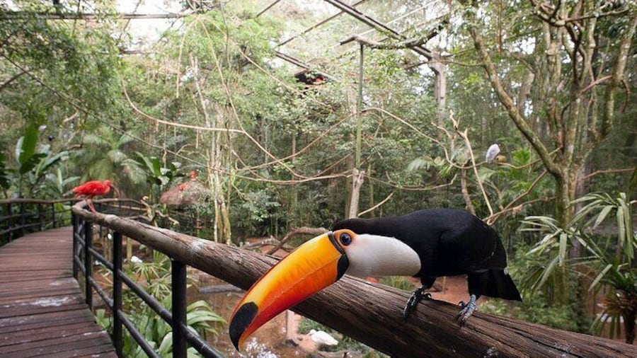 Bird Park