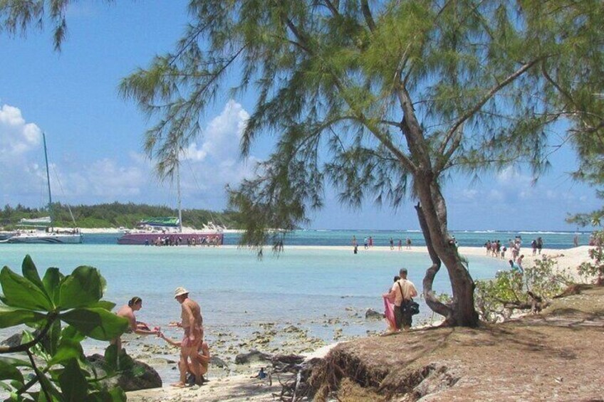 ile plate( one of the 3 visited islets)
