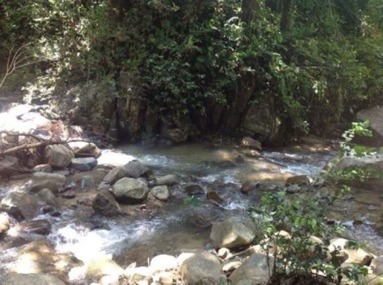 Biausevu waterfall and Natadola Beach Combo Tour in Fiji.