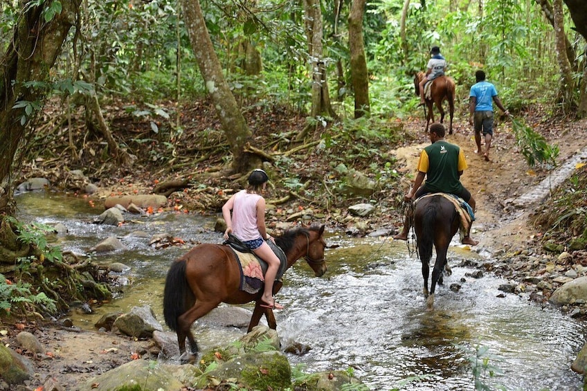 Biausevu waterfall and Natadola Beach Combo Tour in Fiji.