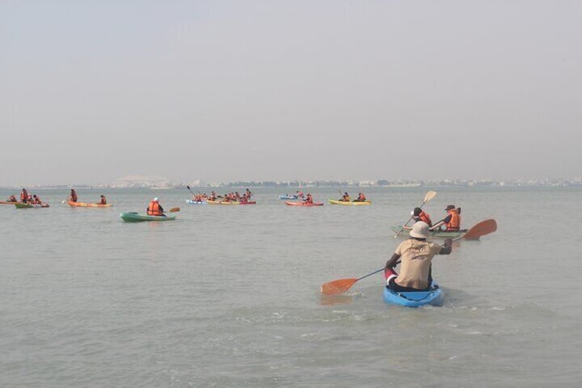 Mangrove Kayaking Purple Island Adventure