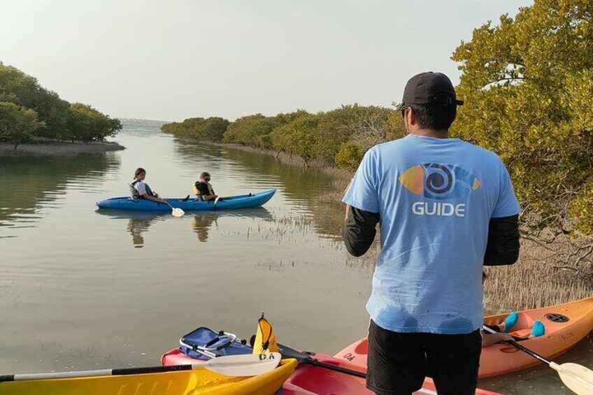 Mangrove Kayaking Purple Island Adventure