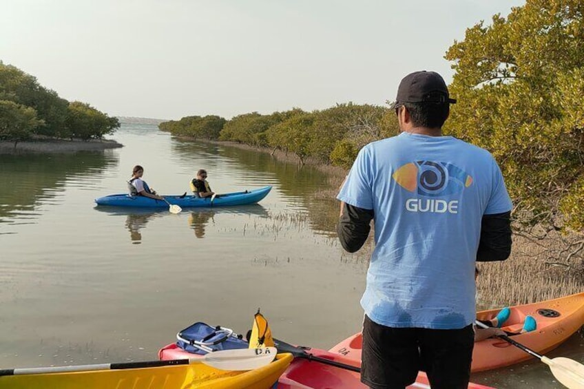 Mangrove Kayaking Purple Island Adventure