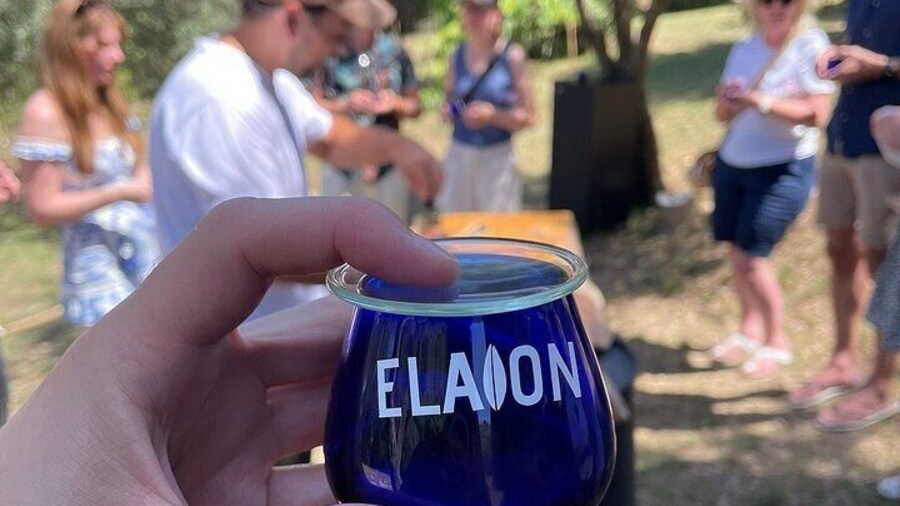 North Corfu Olive Tour With Olive oil Tasting & Meze