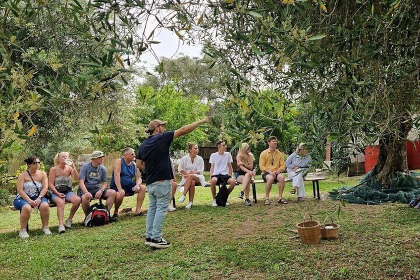 North Corfu Olive Tour With Olive oil Tasting & Meze