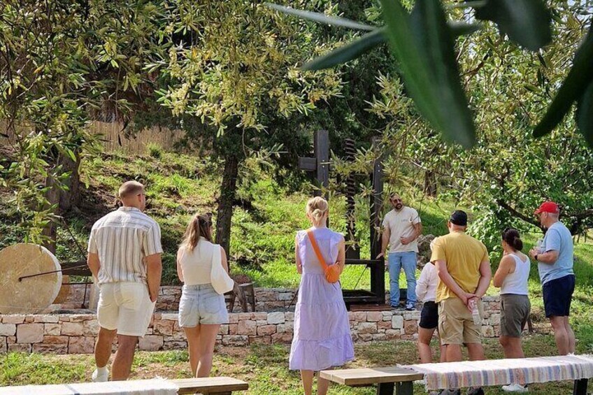 North Corfu Olive Tour With Olive oil Tasting & Meze