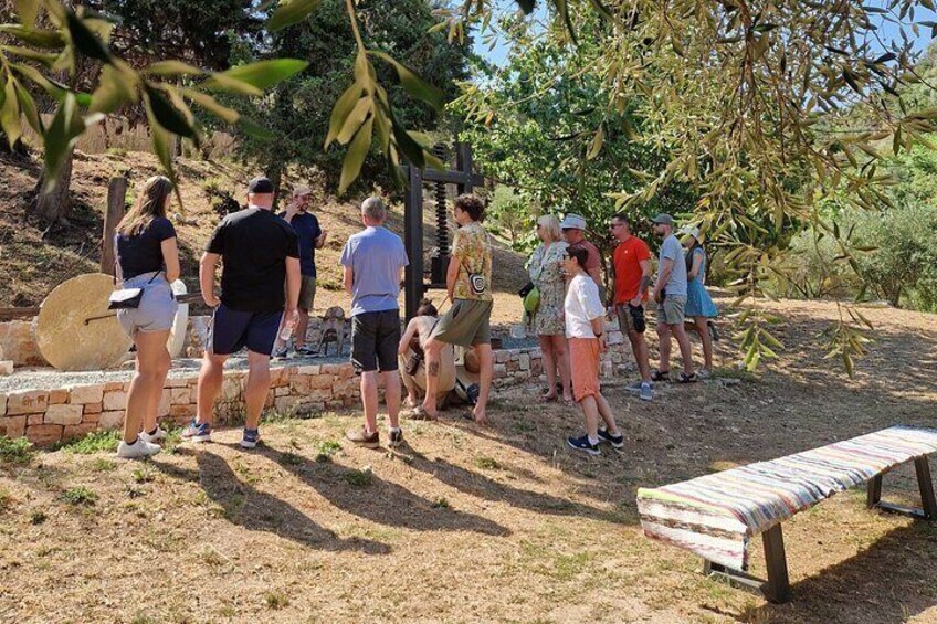 North Corfu Olive Tour With Olive oil Tasting & Meze