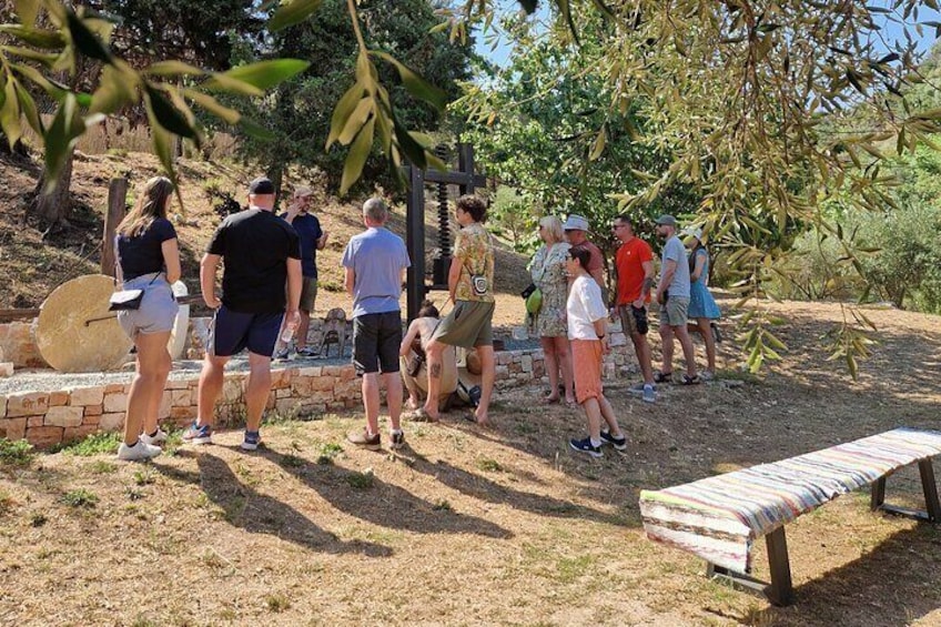 North Corfu Olive Tour With Olive oil Tasting & Meze