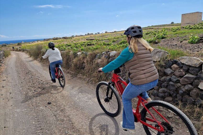 Santorini: E-bike tour from the Tomato Industrial Museum