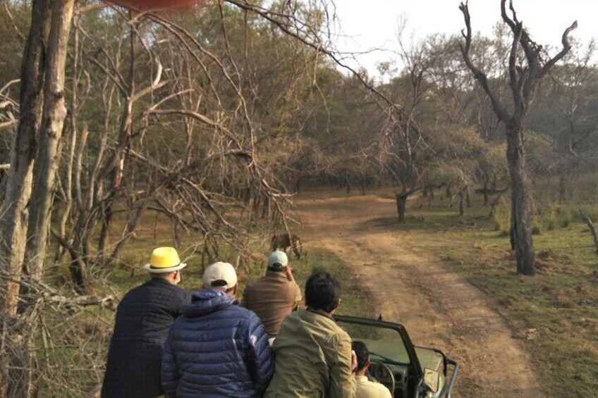 Private Wildlife Watching Experience in Ranthambore National Park