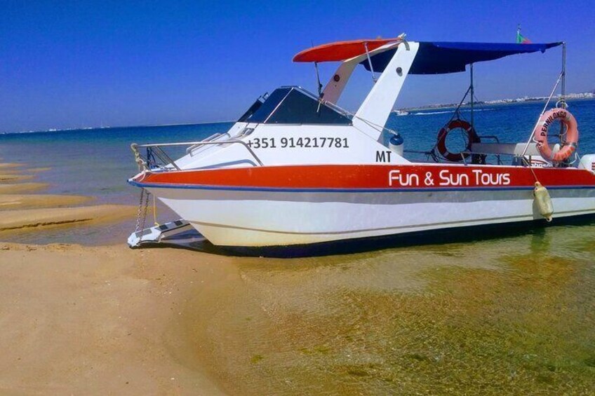 3 Hour Boat Tour in Ria Formosa