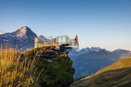Mount First Gondola Ride from Grindelwald