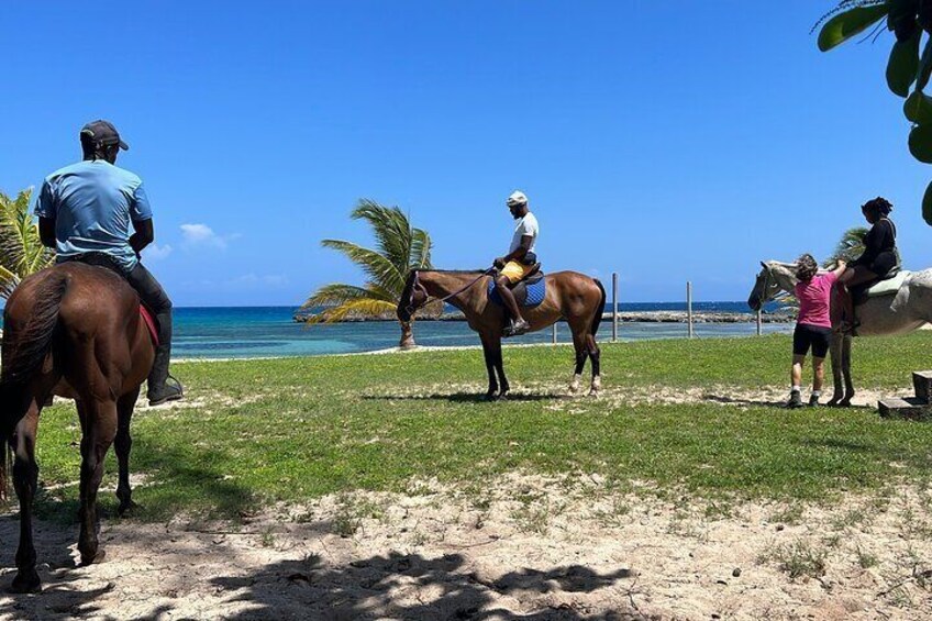 Private Horseback Ride and Swim from Montego Bay