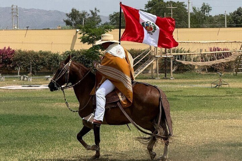 Paso Horse Show - La Caravedo