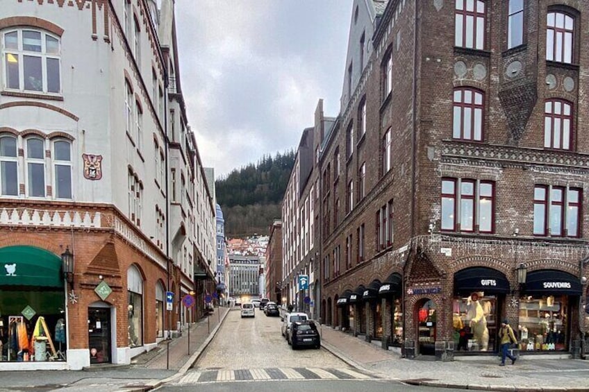 Zero Emission Bergen City Tour By Car