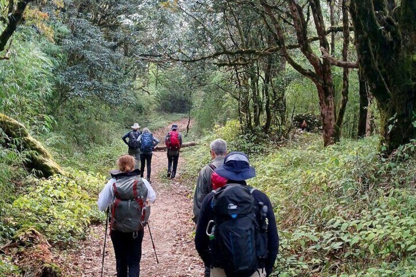 Darjeeling Tonglu Day Trek 