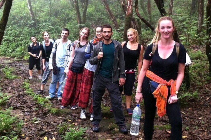 Hike Through black forest
