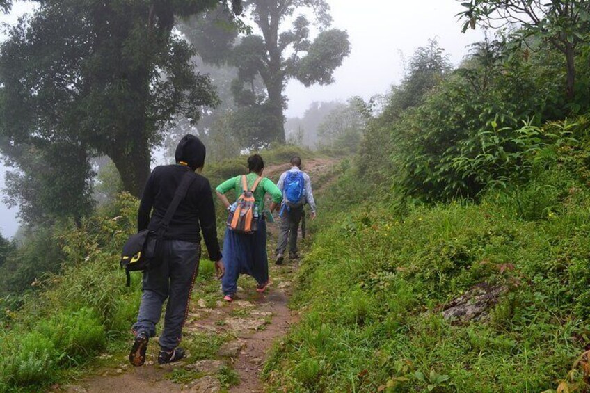 Darjeeling Tonglu - Tumling Day Trek 