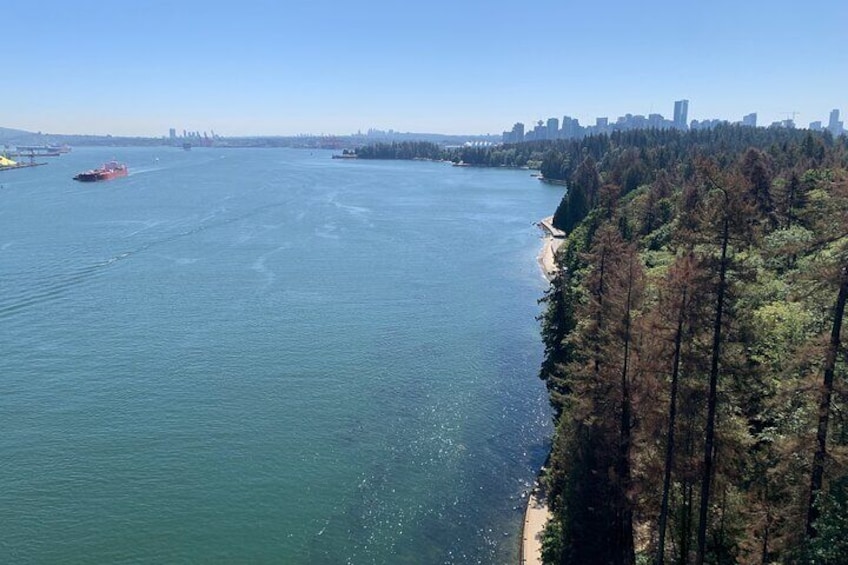 The Ultimate Stanley Park E-Bike Tour