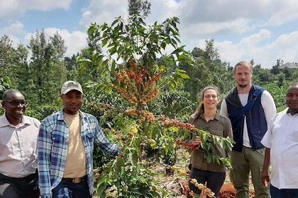 4-Hour Private Coffee Farm Tour In Nairobi
