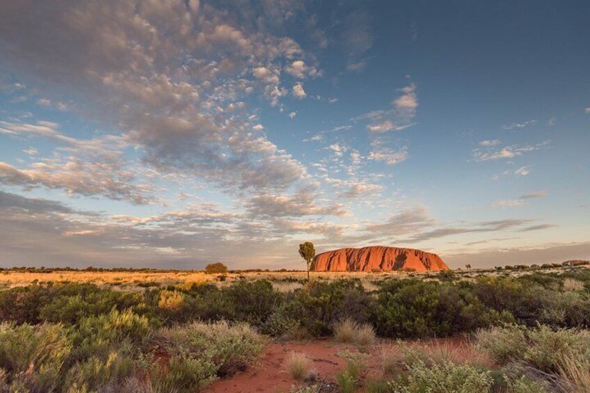 Uluru, Kata Tjuta and Kings Canyon Camping Safari from Alice Springs