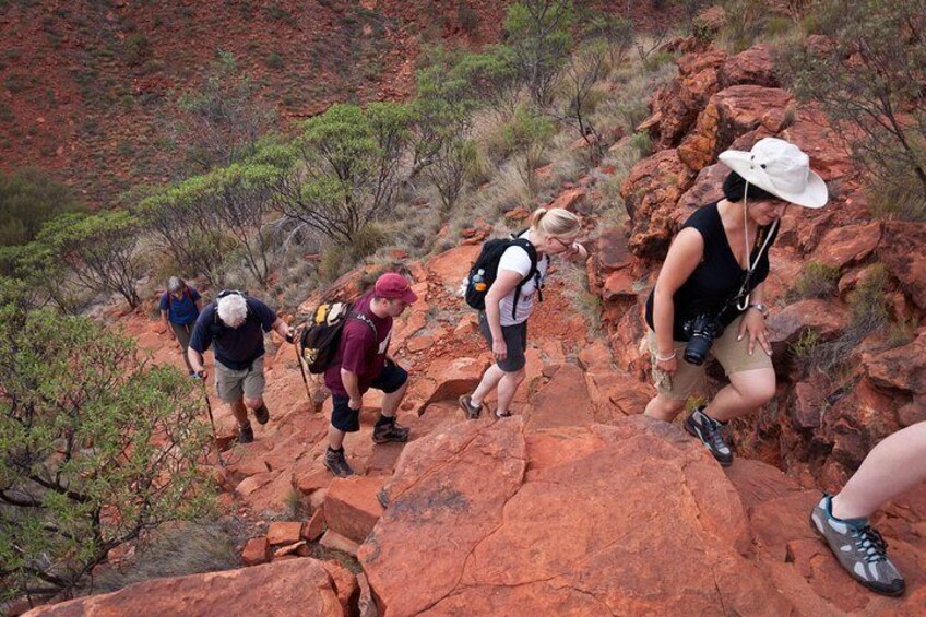 Uluru, Kata Tjuta and Kings Canyon Camping Safari from Alice Springs