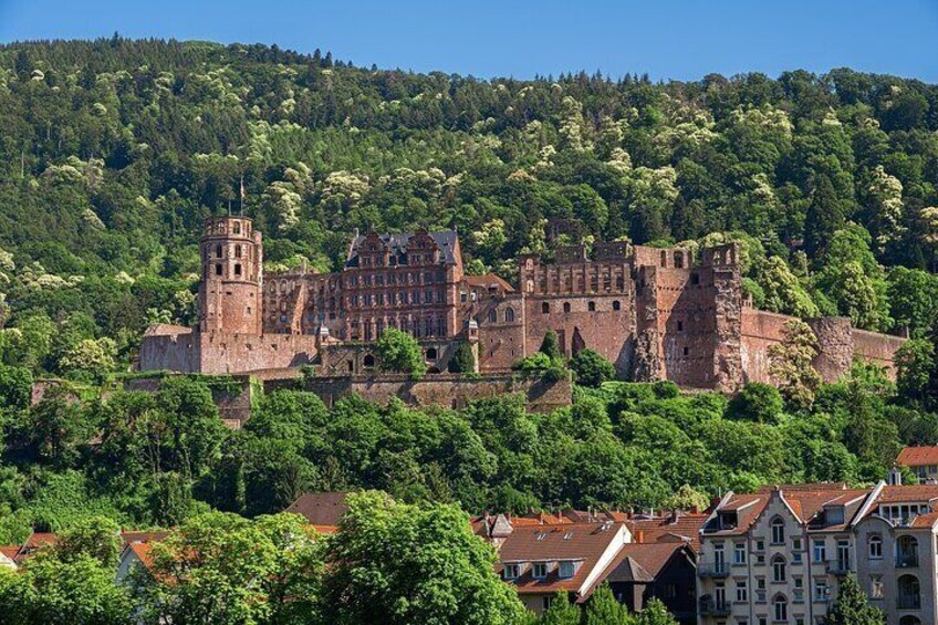 Heidelberg Heritage: Private Old Town and Castle Tour