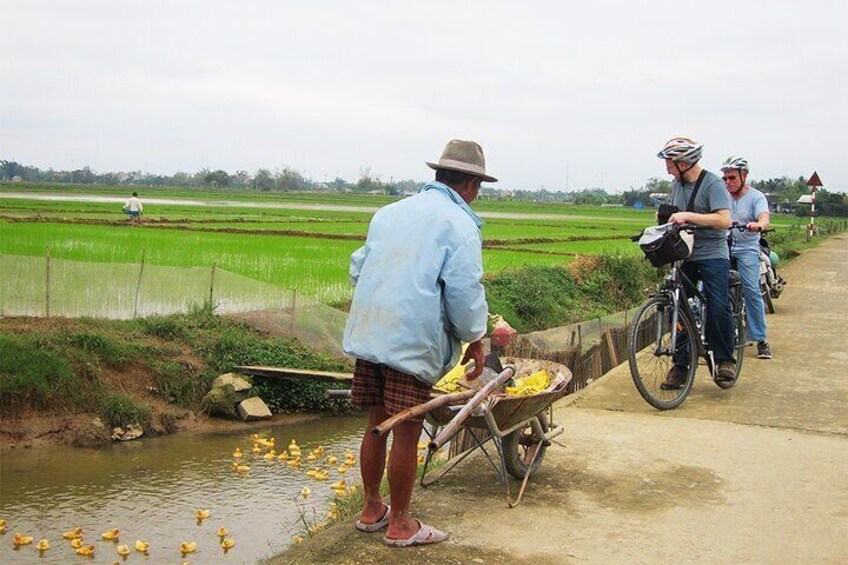 Leisurely cycle in Thanh Toan village