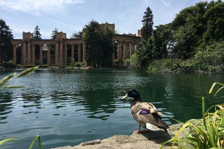 Stroll along the Palace of Fine Arts