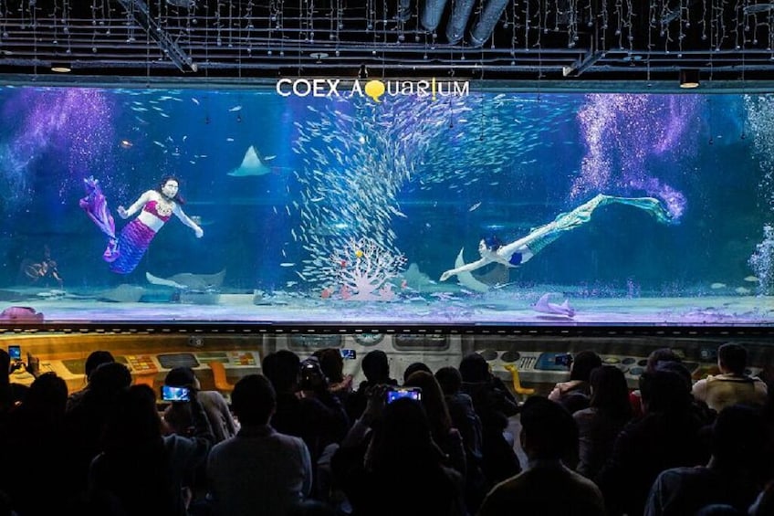 South Korea: Seoul COEX Aquarium