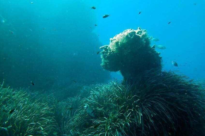 Baptism of diving from boat