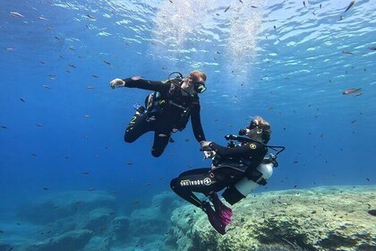 Private Discover Scuba Diving Experience in Messinia