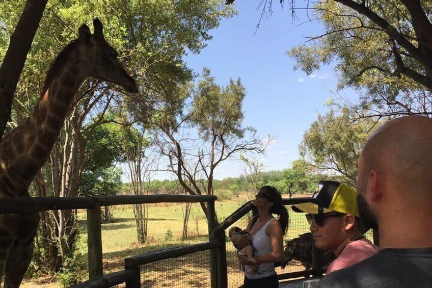 Amazing time Feeding the Giraffe. 