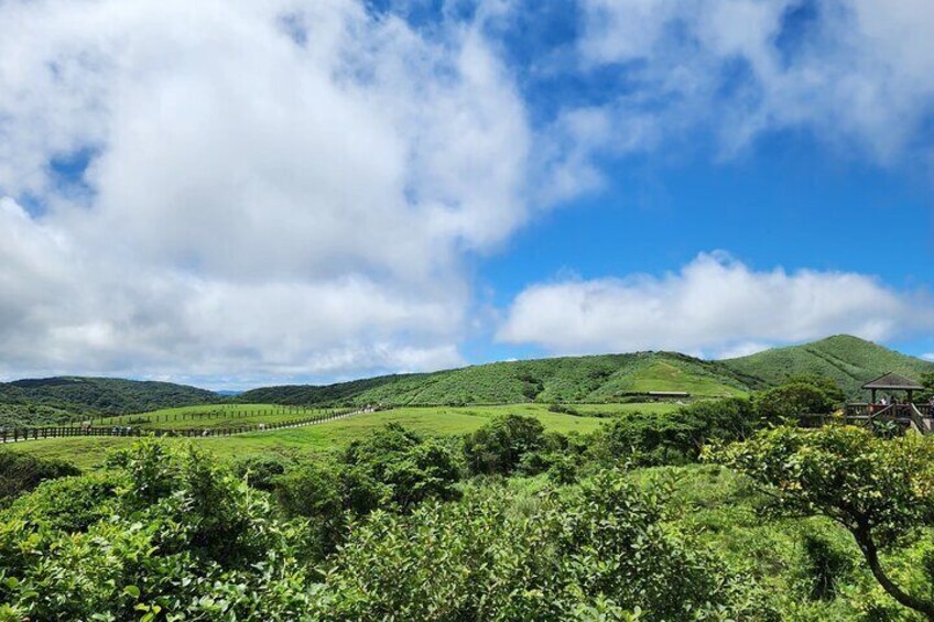 Yanmingshan National Park and Beitou Thermal Valley Private Tour