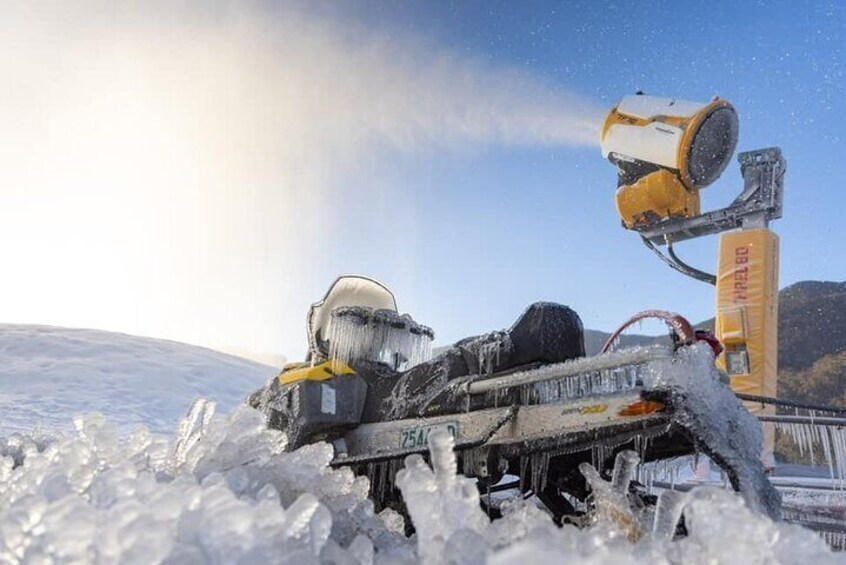 1 Day Perisher Snow Tour