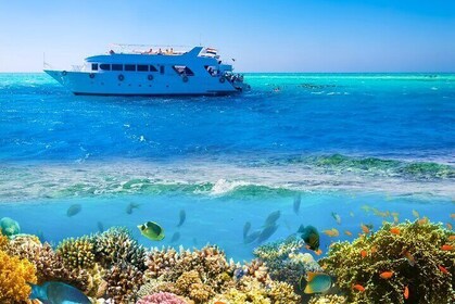 Ras Mohamed Snorkeling Trip by Boat with VIP lunch from Sharm