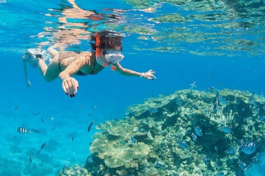 White Island & Ras Mohamed Boat Trip with lunch from Sharm
