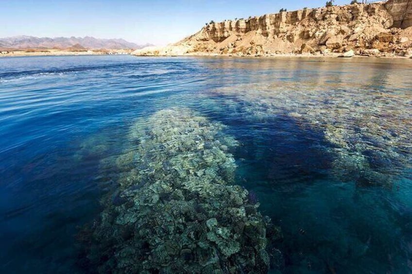 White Island & Ras Mohamed Boat Trip with lunch from Sharm