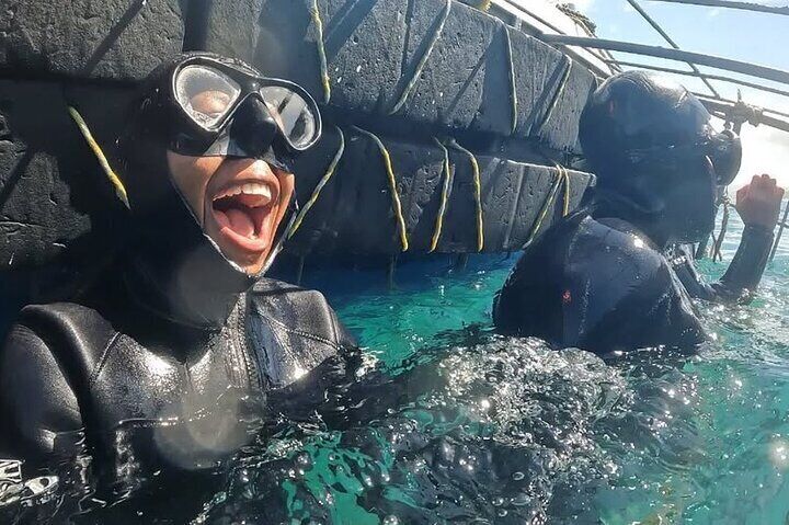 Cape Shark Diving Adventures 