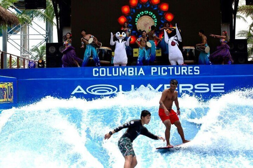 Ride the waves with Cody and his Surf's Up penguin crew at the tropical island-themed Surf's Up zone in Columbia Pictures Aquaverse, where endless surfing fun awaits!