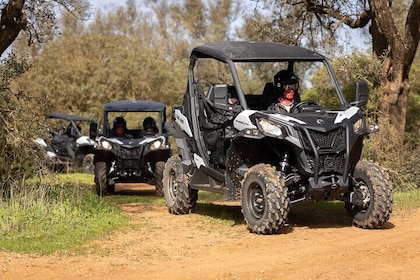 90-minute Buggy or Quad tour in the Algarve