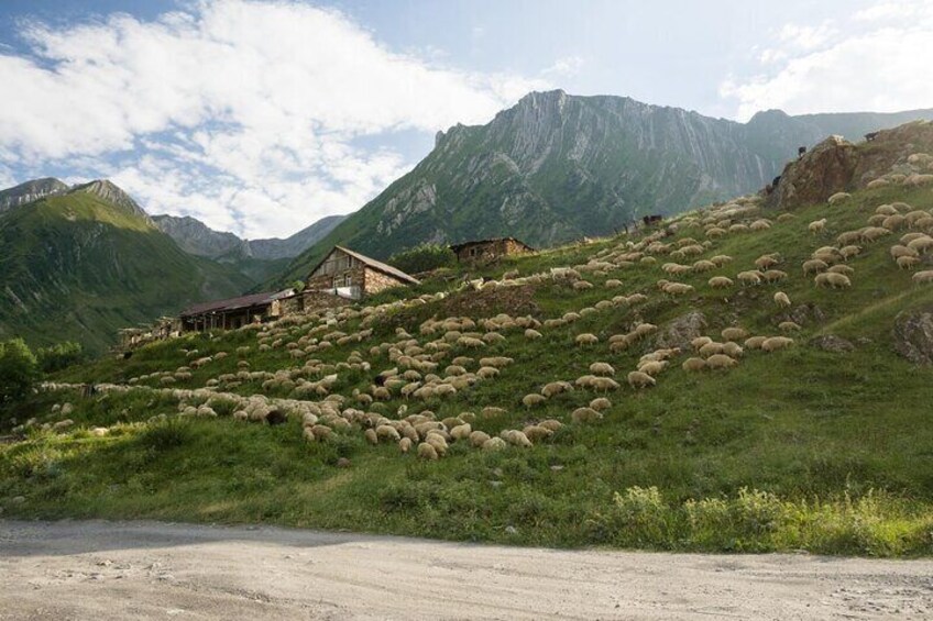 Kazbegi - One Day Private Trekking Tour to Truso Valley 